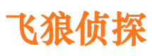 麦盖提寻人公司